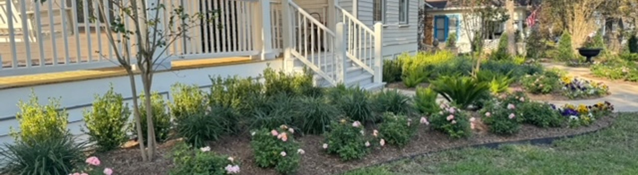 Layered flower beds and a healthy lawn in a Central Texas garden