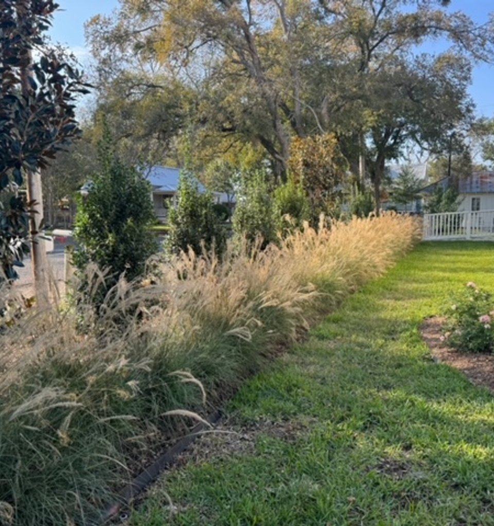 Fayetteville garden with a green lawn and full ornamental grasses