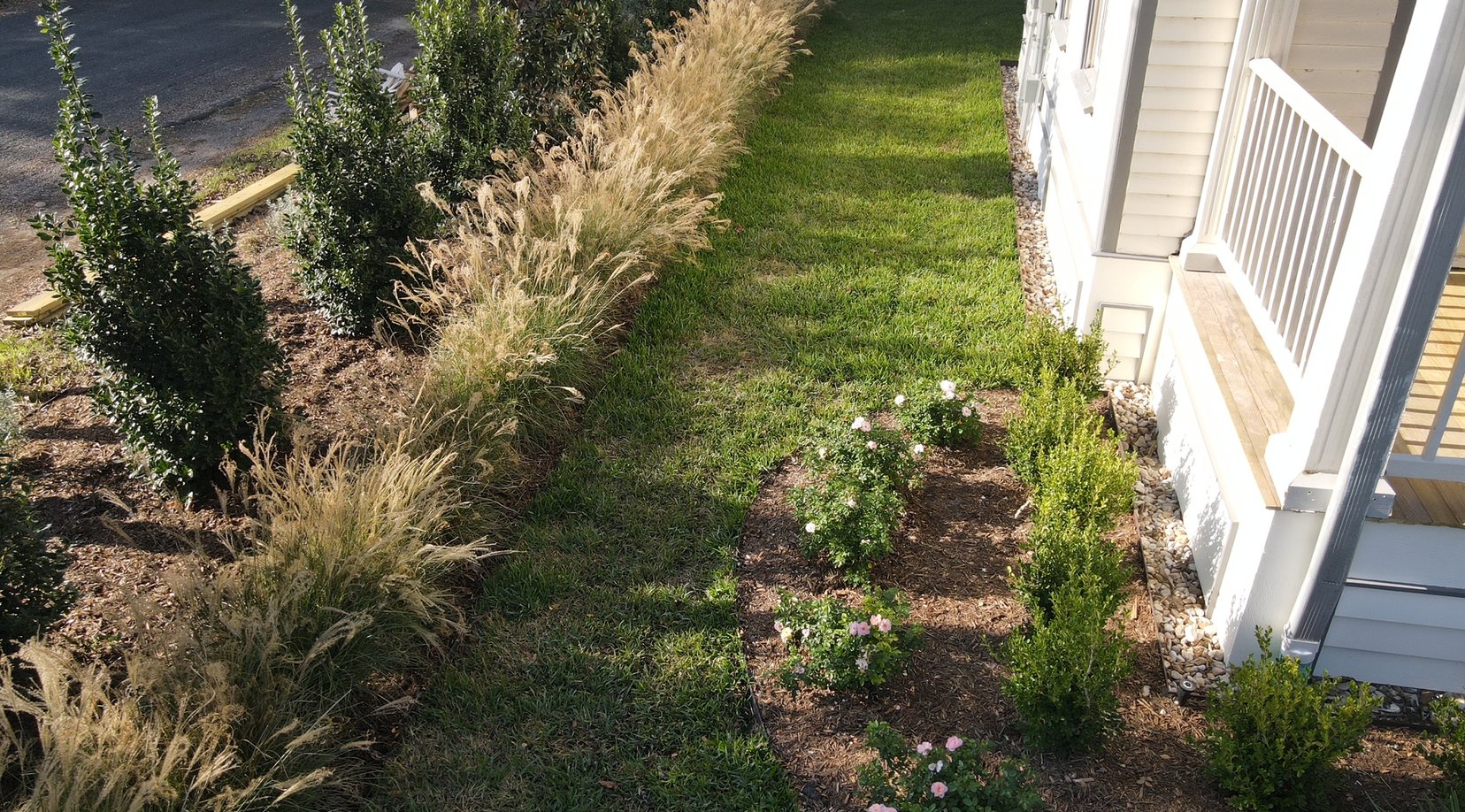 Ornamental grasses and garden beds bordering the turf