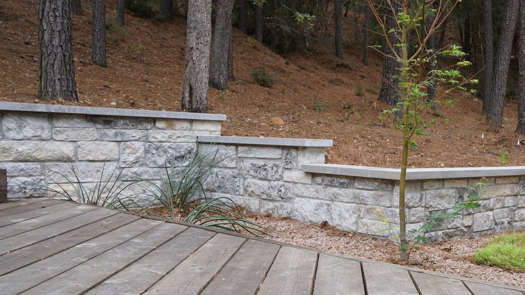 Sloped Lost-Pines backyard with a stone retaining wall and deck site