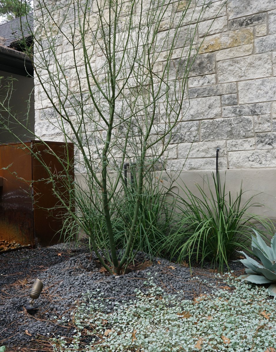 Water feature framed by gravel and architectural plantings