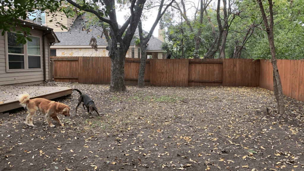 Bare, shaded River Place side yard before garden bed installation