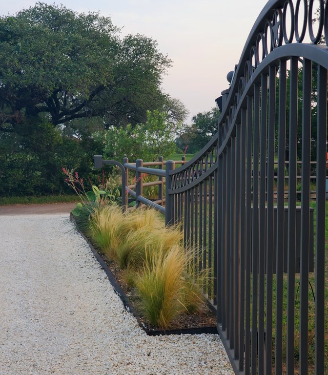 Long crushed-stone driveway lined with ornamental grasses and an iron fence at a Central Texas ranch