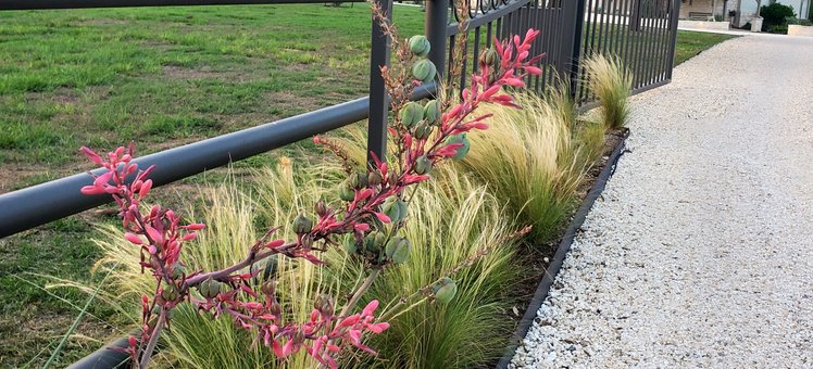 Thrive Landscape and Design serving Leander, TX