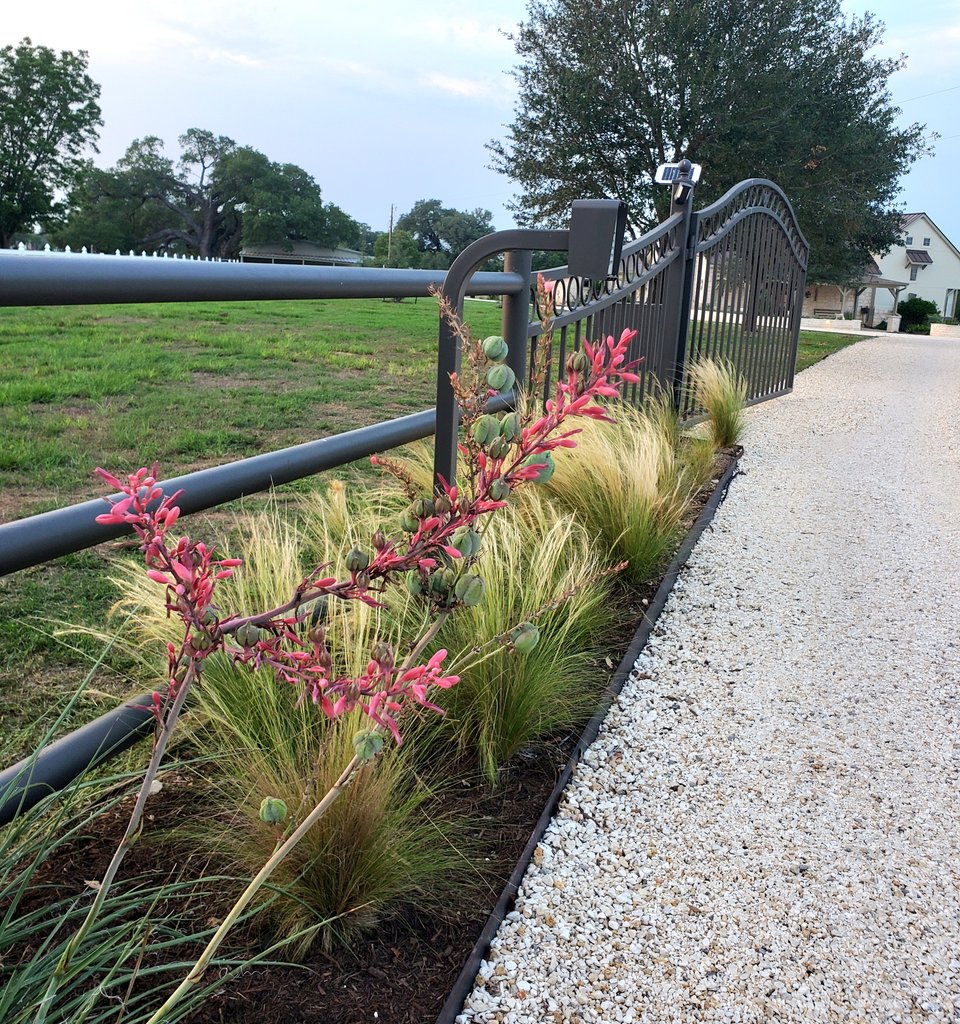 Iron entry gate with an access-control post and red yucca along a gravel ranch drive