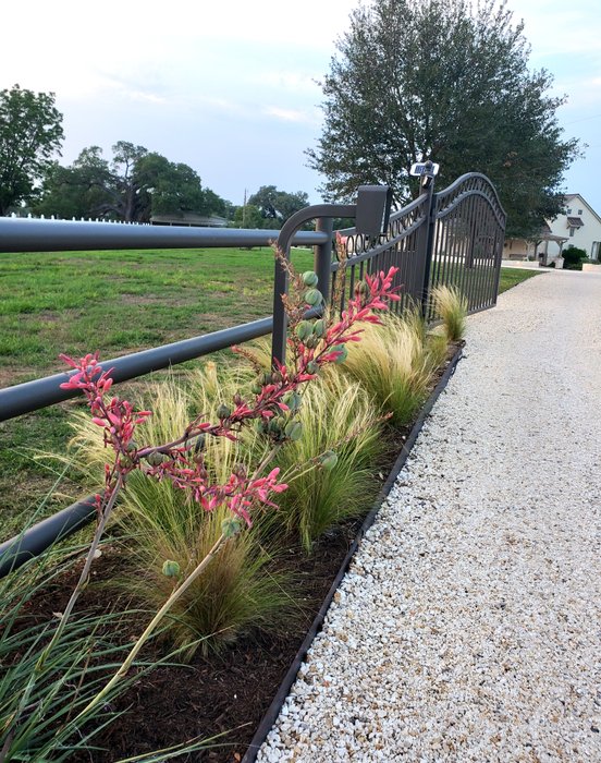 Leander home entry with native plants and walkway lighting