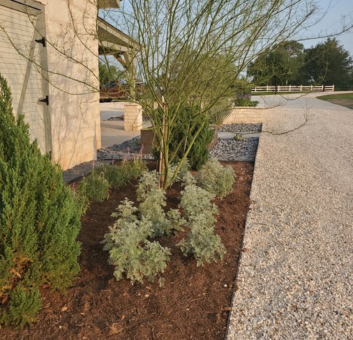 Close-up of a palo verde and gravel planter bed at Smithville-Ranch