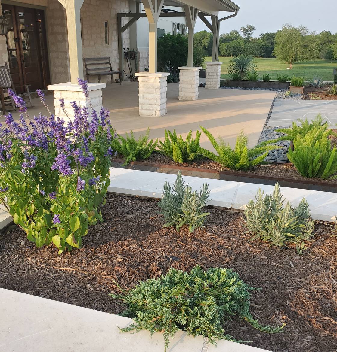 Buda home with stone walkway, native plantings, and landscape lighting