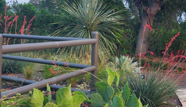 Powder-coated metal fence framing a Smithville ranch entry with yucca and native plantings