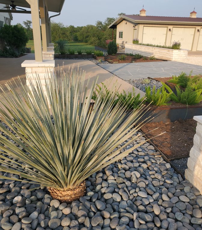 River rock and native yucca holding a graded planting bed at a Central Texas ranch
