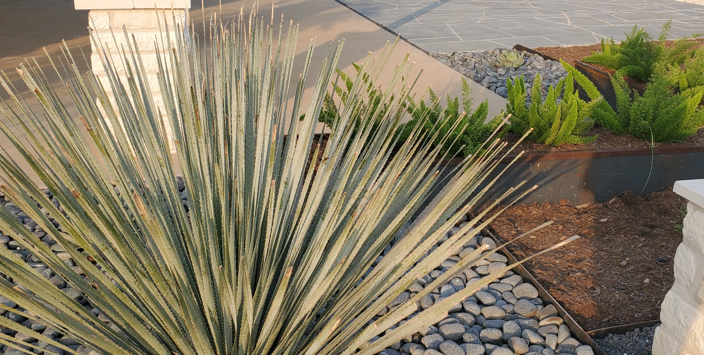 Yucca and river rock plantings along the native landscape