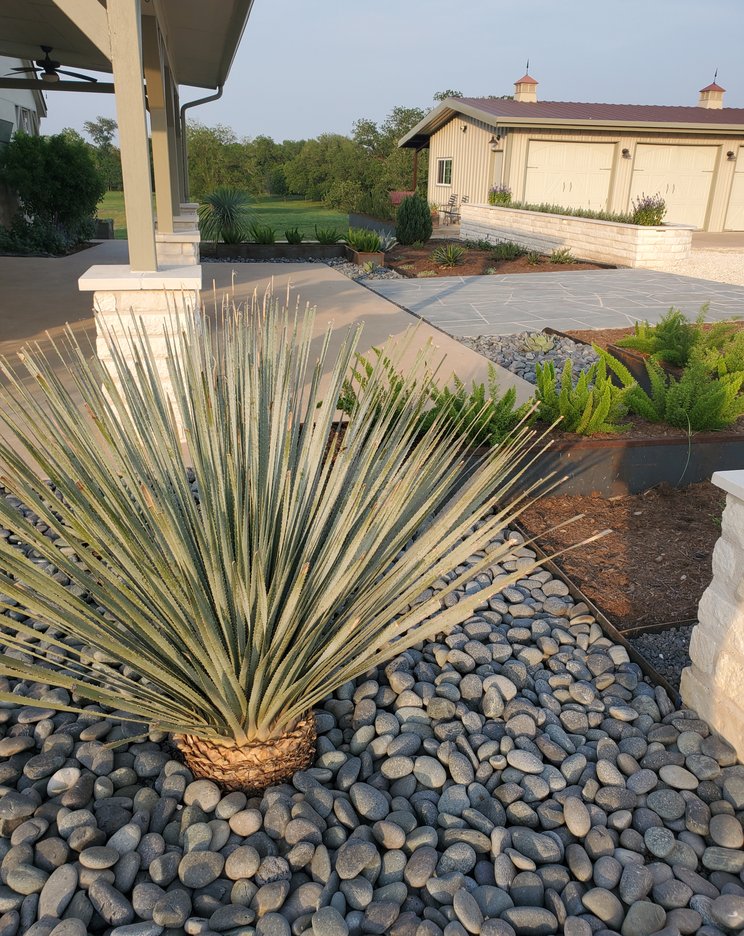 Drought-tolerant Smithville landscape with yucca and river rock instead of thirsty turf