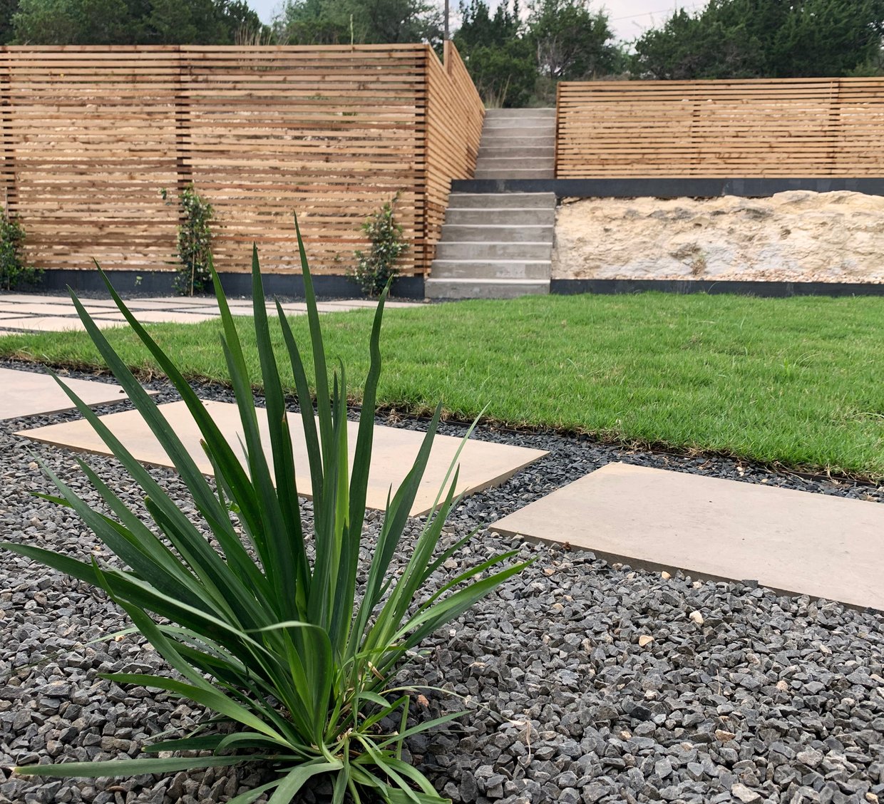 Westlake Hills modern terrace with cedar slat fence and limestone pavers