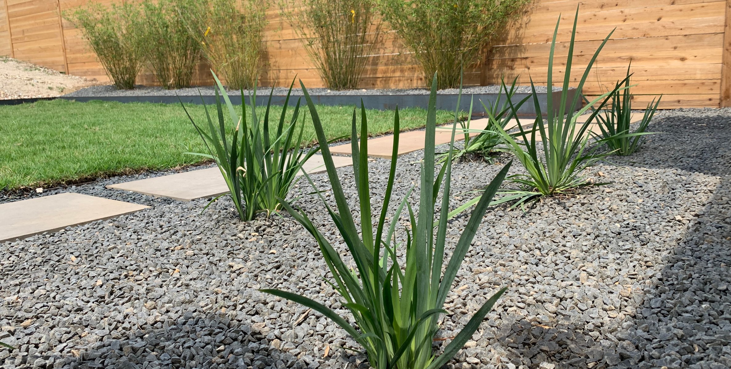 Yucca, gravel, stepping stones, and sod across the lower terrace