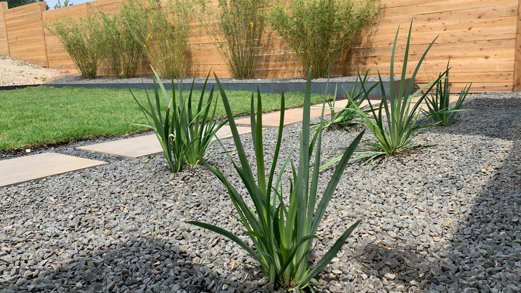Hydrozoned plant areas with yucca, gravel, and stepping stones in Westlake Hills