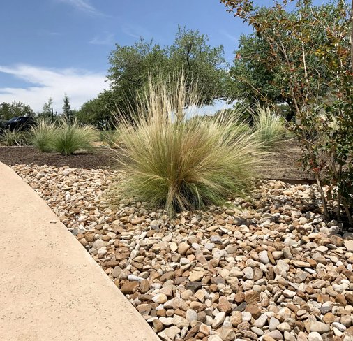 Completed Dripping Springs design with river rock and ornamental grasses