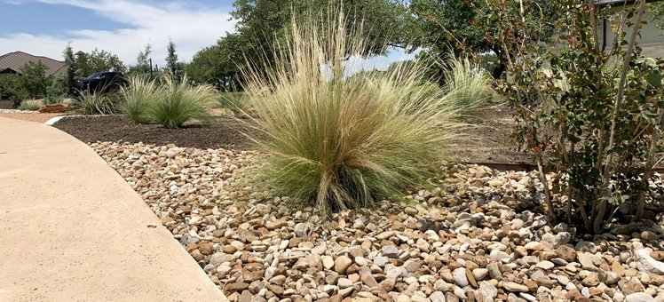 Thrive Landscape and Design serving Wimberley, TX