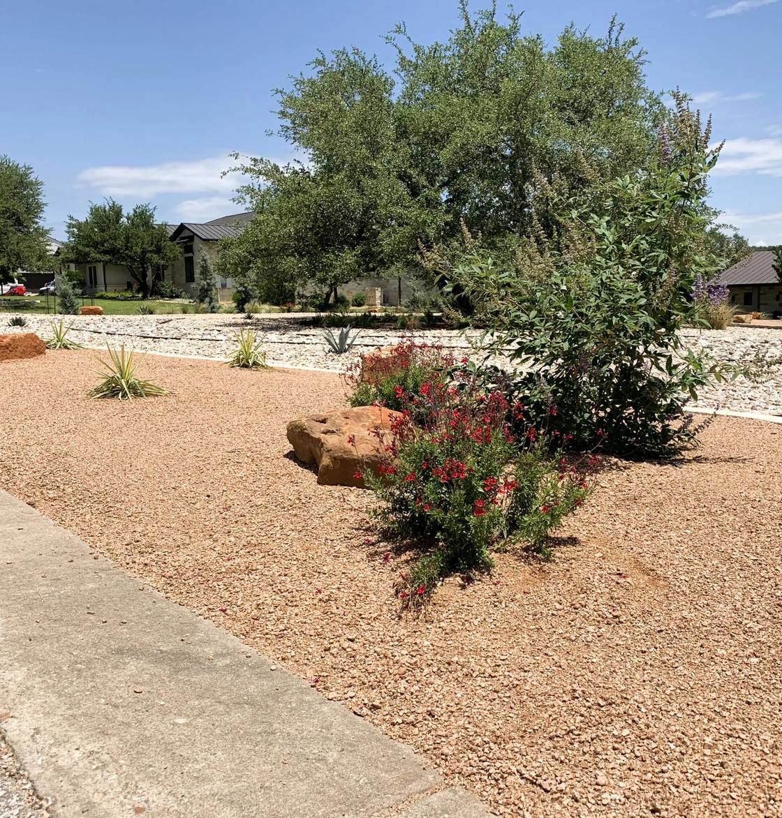 Dripping Springs home with limestone walkway, native plantings, and landscape lighting