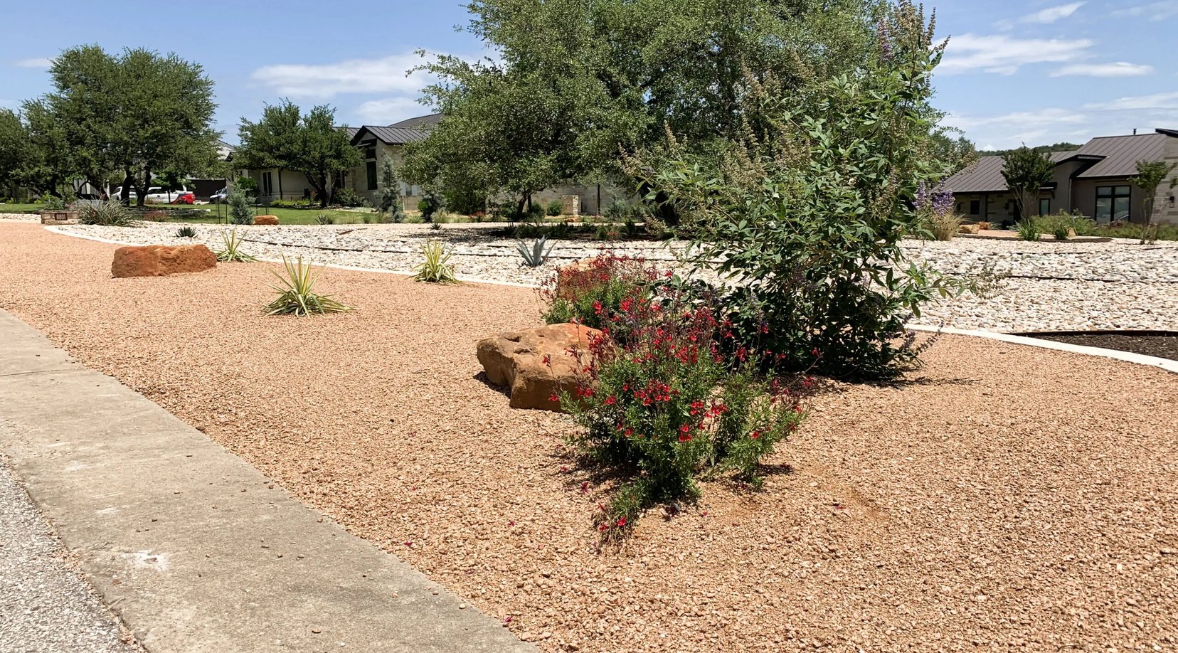 Red hesperaloe in bloom and agave set into a warm crushed granite bed with sandstone boulders