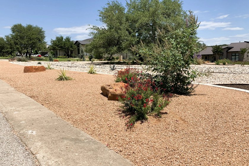 Red salvia, agave, and yucca in a crushed gravel bed with sandstone boulders in an open Dripping Springs front yard