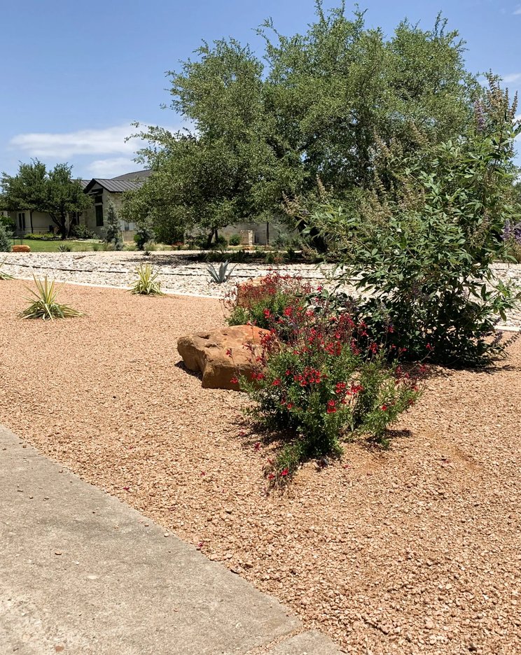 Native, drought-tolerant plantings in a mulched Dripping Springs xeriscape bed
