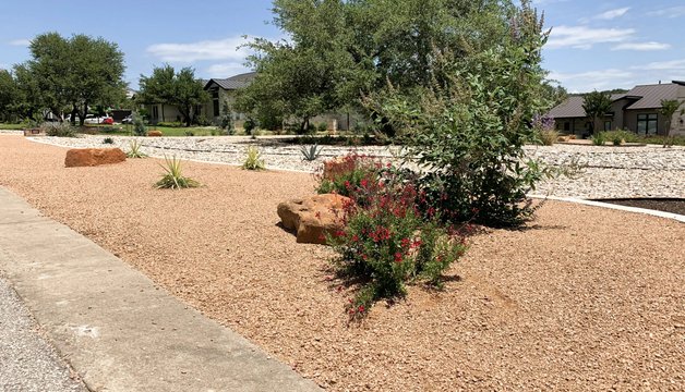 Drought-tolerant landscape with native Texas plants in Dripping Springs