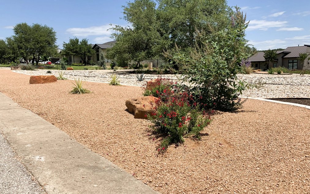 Red salvia, agave, and yucca in a crushed gravel bed with sandstone boulders in an open Dripping Springs front yard
